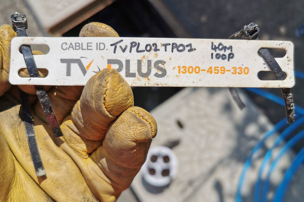 ipx-p2p-011 ipx-p2p-011